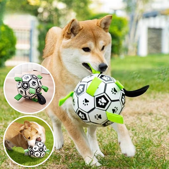 Balle Pour Chien - Football - Plaisir Canin