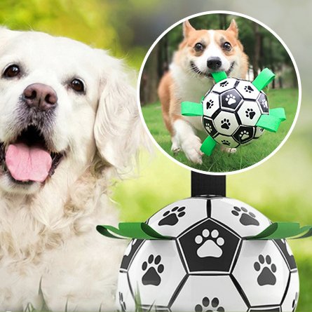 Balle Pour Chien - Football - Plaisir Canin