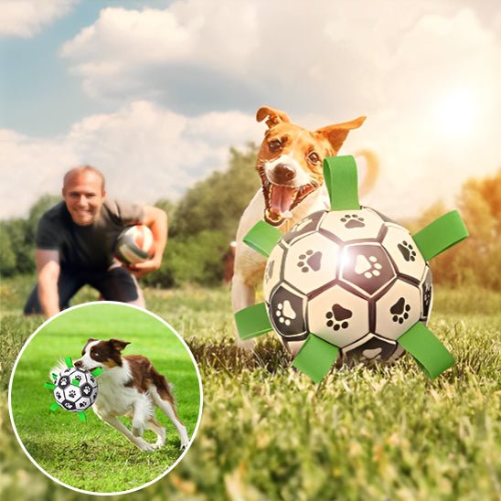 Balle Pour Chien - Football - Plaisir Canin