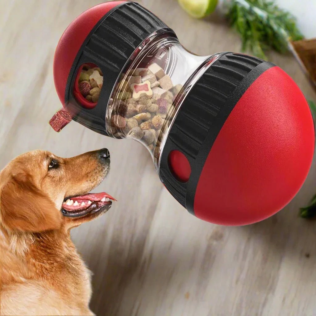 EllipticalDogPuzzleToy™ - Rouge - Plaisir Canin