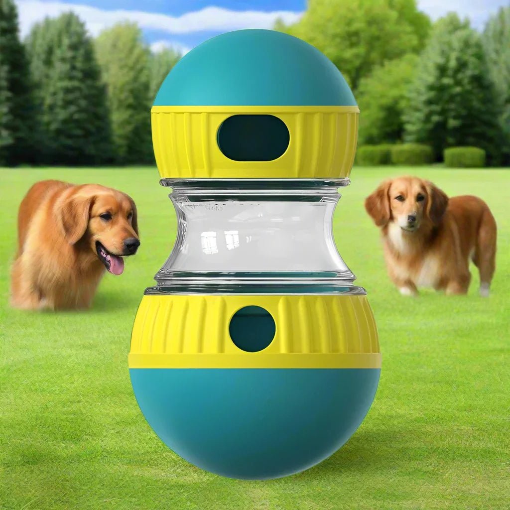 EllipticalDogPuzzleToy™ - Turquoise - Plaisir Canin