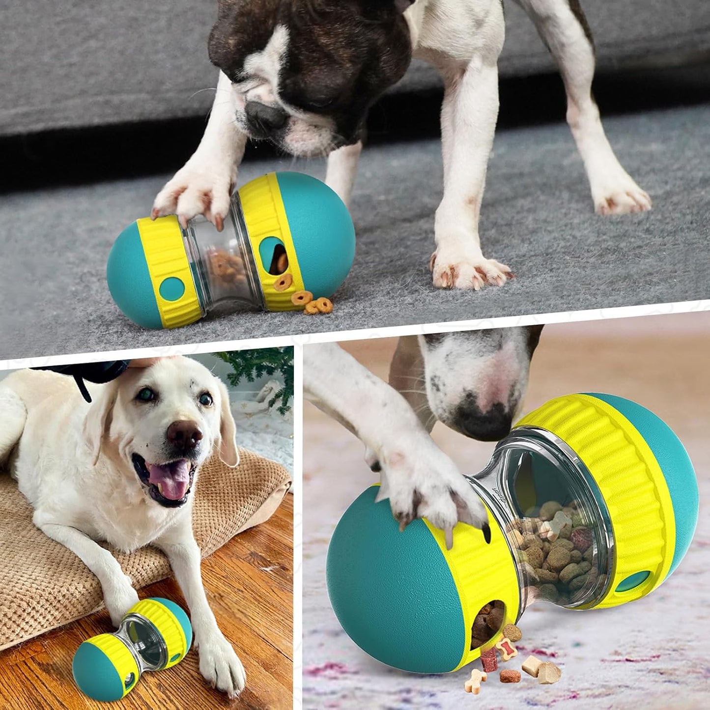 EllipticalDogPuzzleToy™ - Turquoise - Plaisir Canin