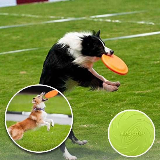 Frisbee pour chien - Plaisir Canin