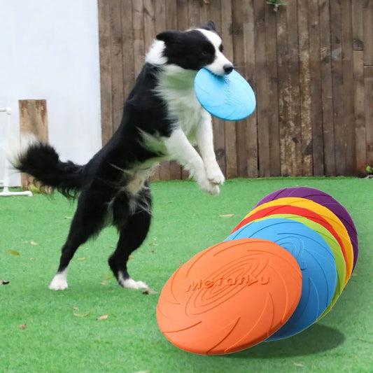 Frisbee pour chien - Plaisir Canin