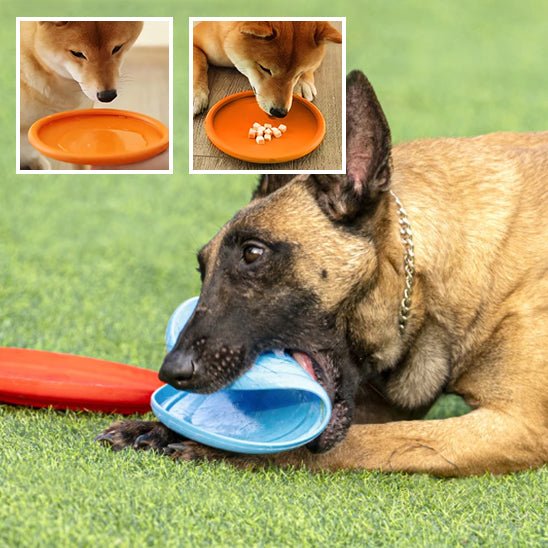 Frisbee pour chien - Plaisir Canin