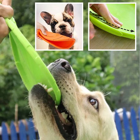 Frisbee pour chien - Flottant - Plaisir Canin