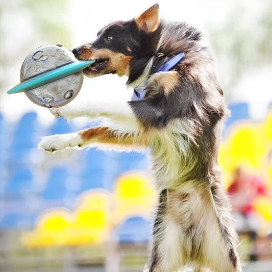 Jouet Kong pour Chien - Ovni - Plaisir Canin