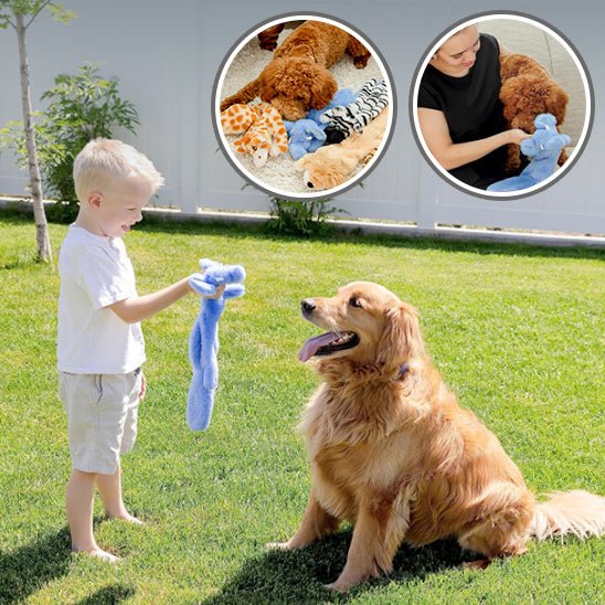 Peluche Pour Chien - Sans Rembourrage - Plaisir Canin